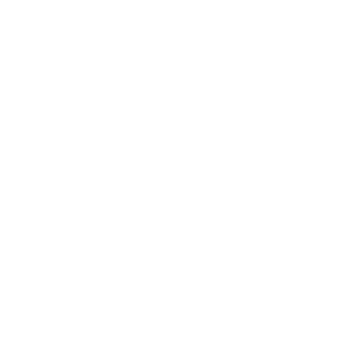 Leads to Scale